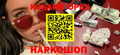 крисы Шебекино