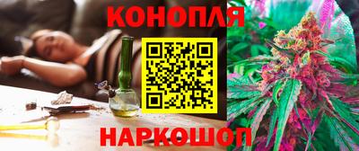 крисы Шебекино