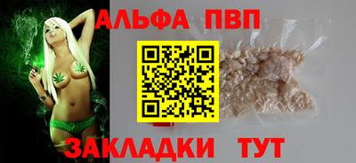 крисы Шебекино