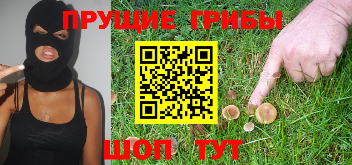 Еманжелинск  Галлюциногенные грибы Psilocybe  Вход с VPN  Псилоцибиновые грибы Psilocybine cubensis 